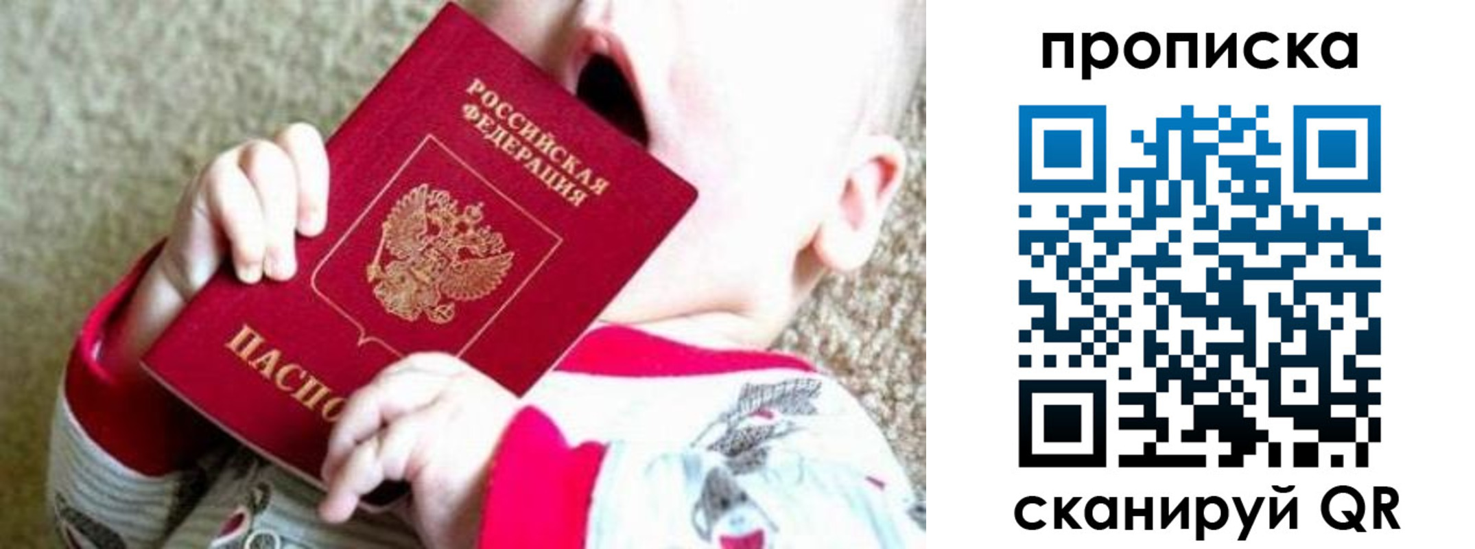прописка законно в Судогде